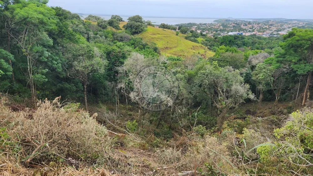 Terreno, 5600 m² - Foto 4