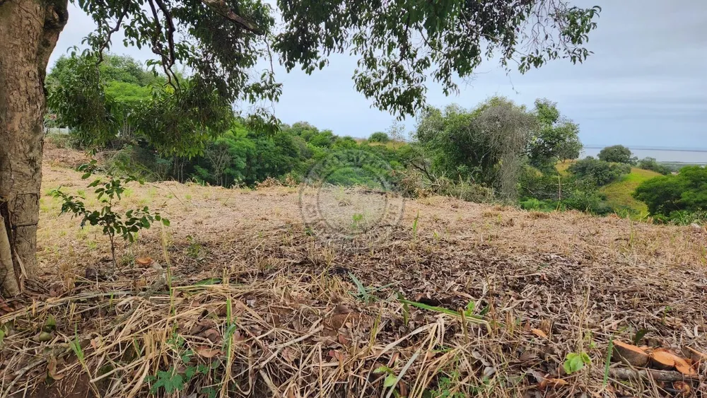 Terreno, 5600 m² - Foto 6