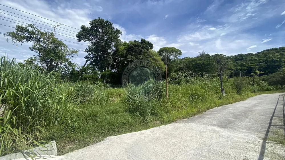 Terreno, 2500 m² - Foto 3