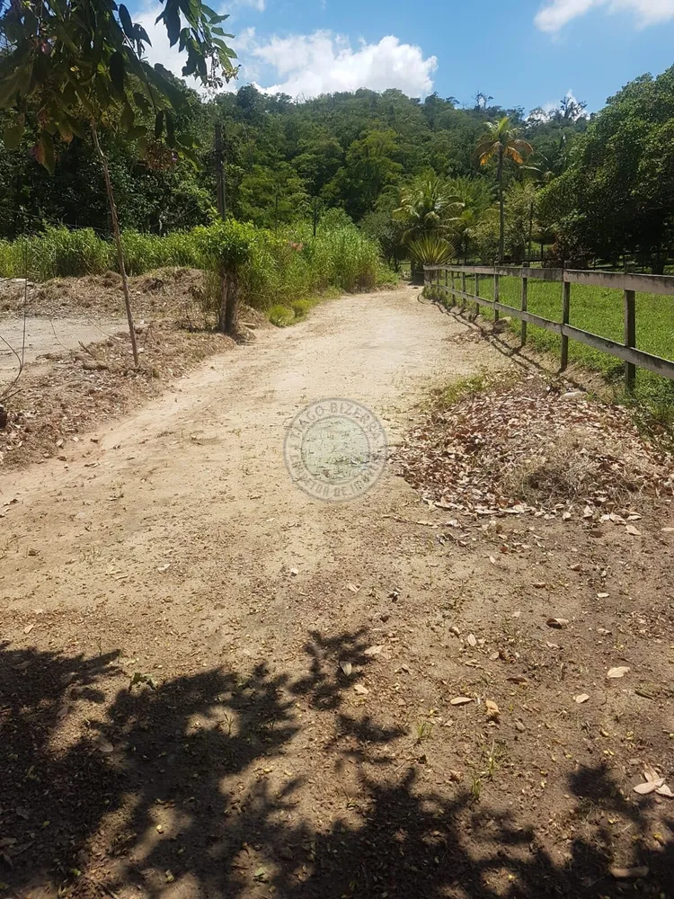 Terreno, 2500 m² - Foto 5