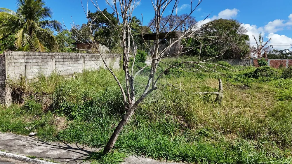 Terreno, 450 m² - Foto 6