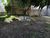 Terreno - Foto 1