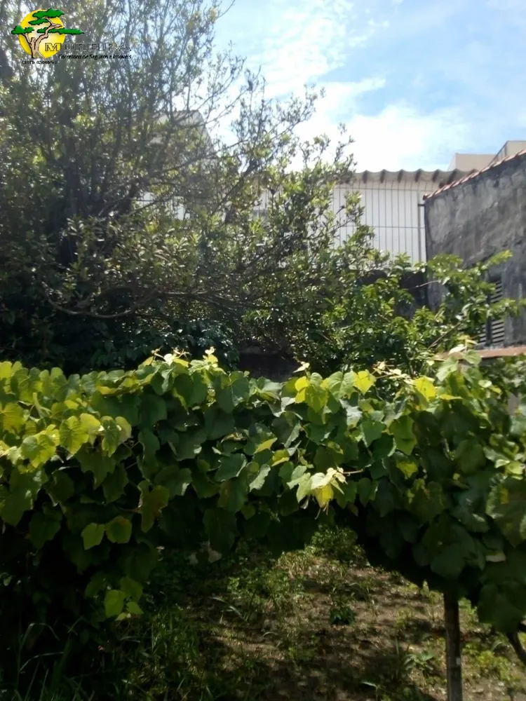 Casa, 3 quartos, 250 m² - Foto 15