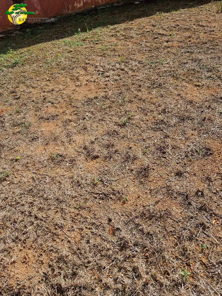 Terreno, 250 m² - Foto 13