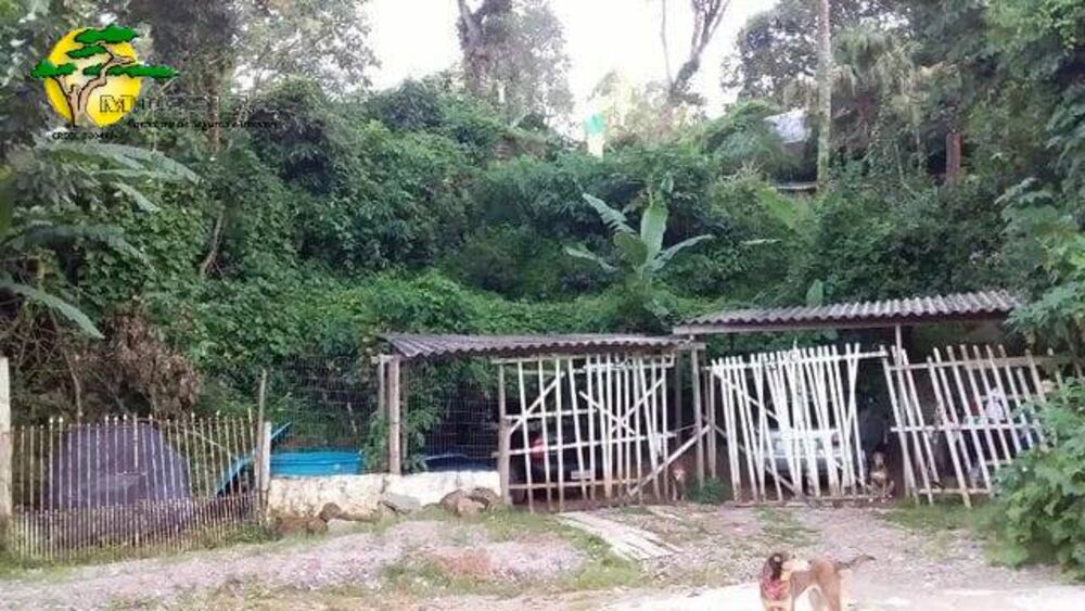 Terreno à venda, 2438m² - Foto 6
