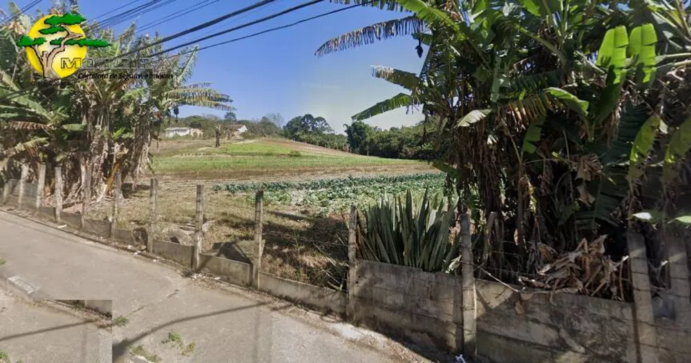 Terreno, 3 hectares - Foto 2