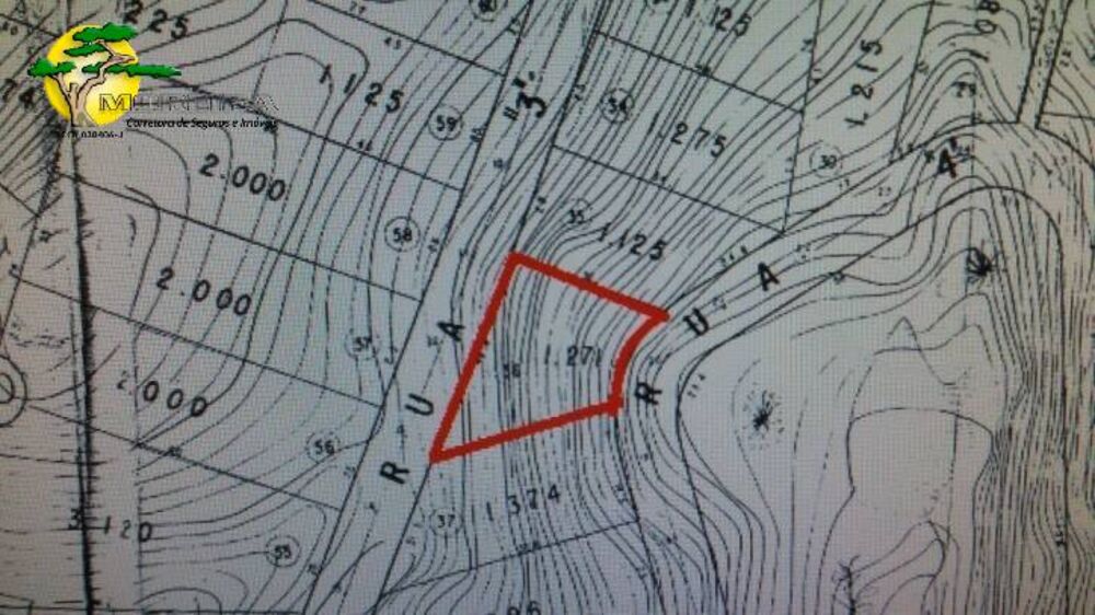 Terreno, 1271 m² - Foto 4