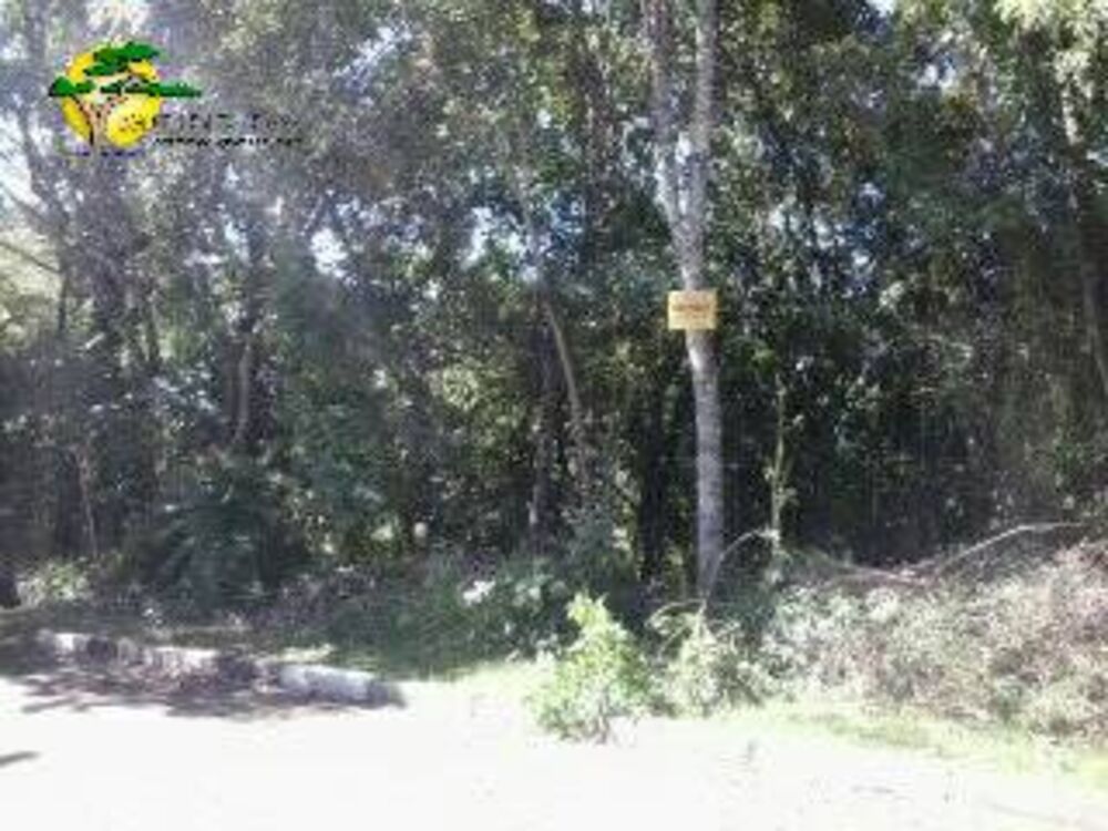 Terreno, 1271 m² - Foto 2