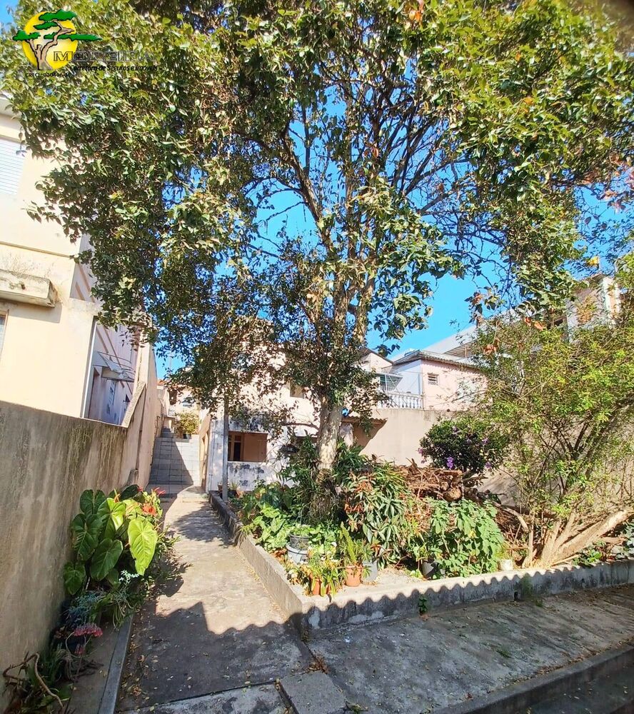 Casa, 3 quartos, 266 m² - Foto 4