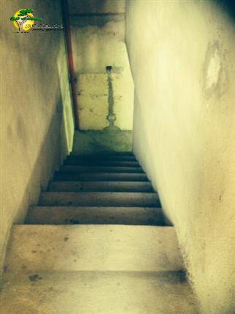 Sobrado, 5 quartos, 230 m² - Foto 2