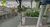 Terreno, 167 m² - Foto 4