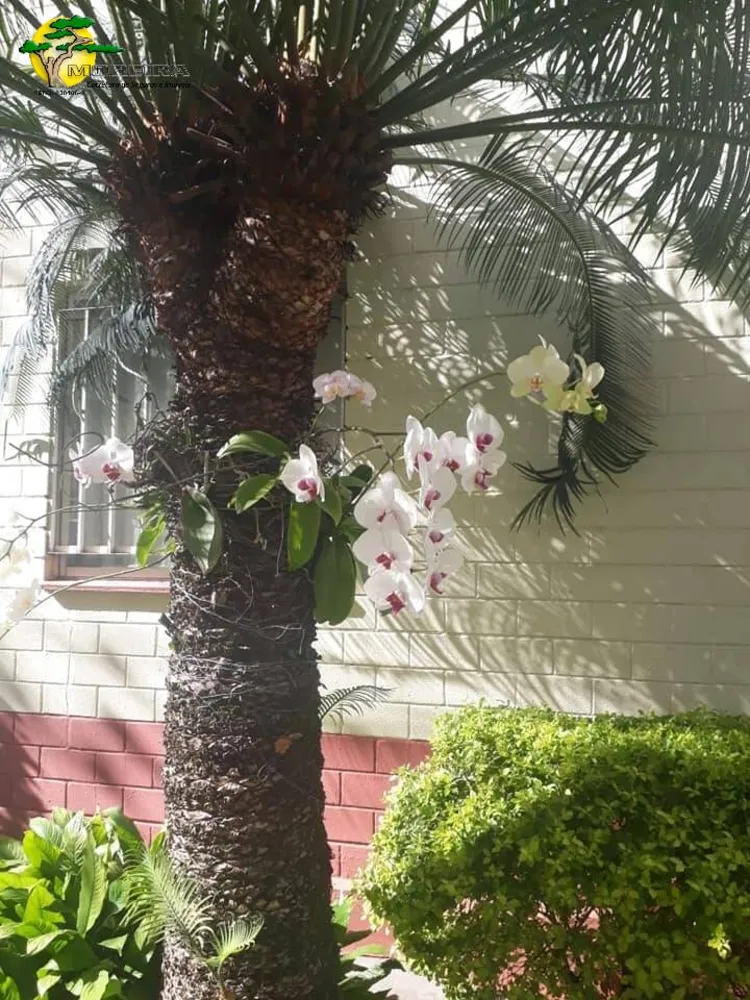 Apartamento, 2 quartos, 55 m² - Foto 8