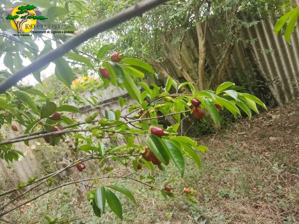 Chácara à venda com 4 quartos, 250m² - Foto 8