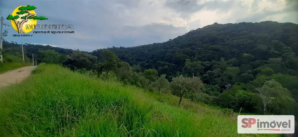 Terreno, 1036 m² - Foto 6