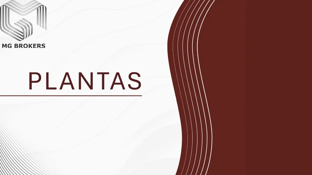 Apartamento, 2 quartos, 38 m² - Foto 13