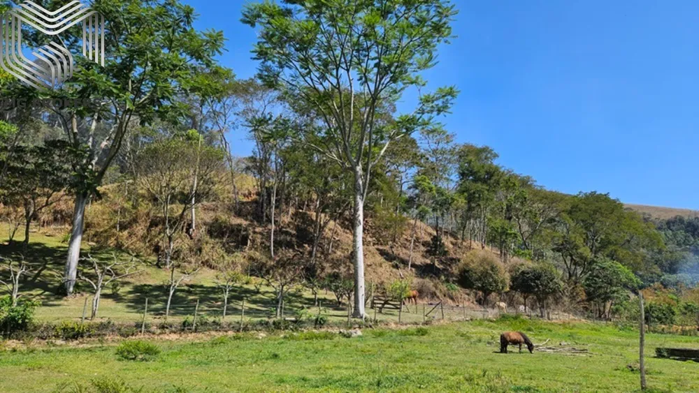 Fazenda, 8 quartos - Foto 18