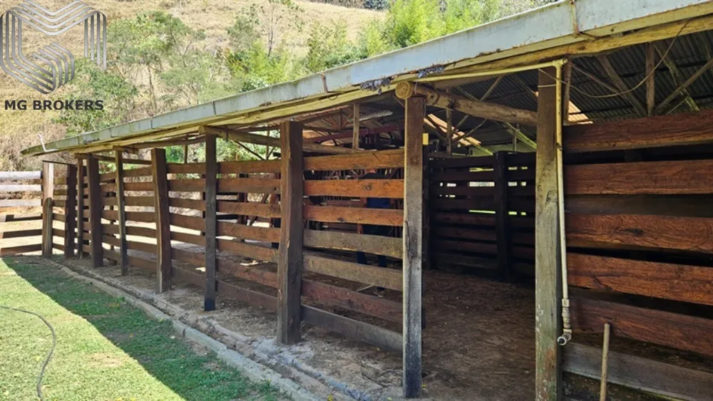 Sítio, 8 quartos, 2500 m² - Foto 12