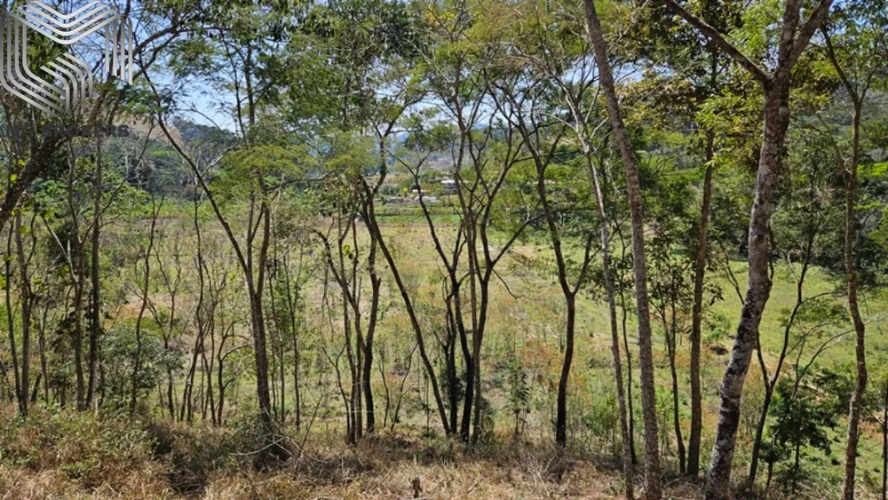 Sítio, 8 quartos, 2500 m² - Foto 1
