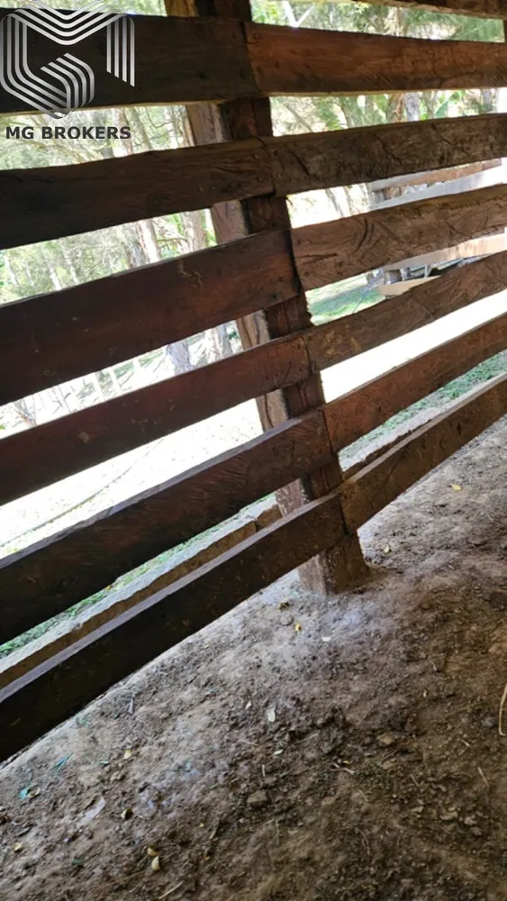 Sítio, 8 quartos, 2500 m² - Foto 13