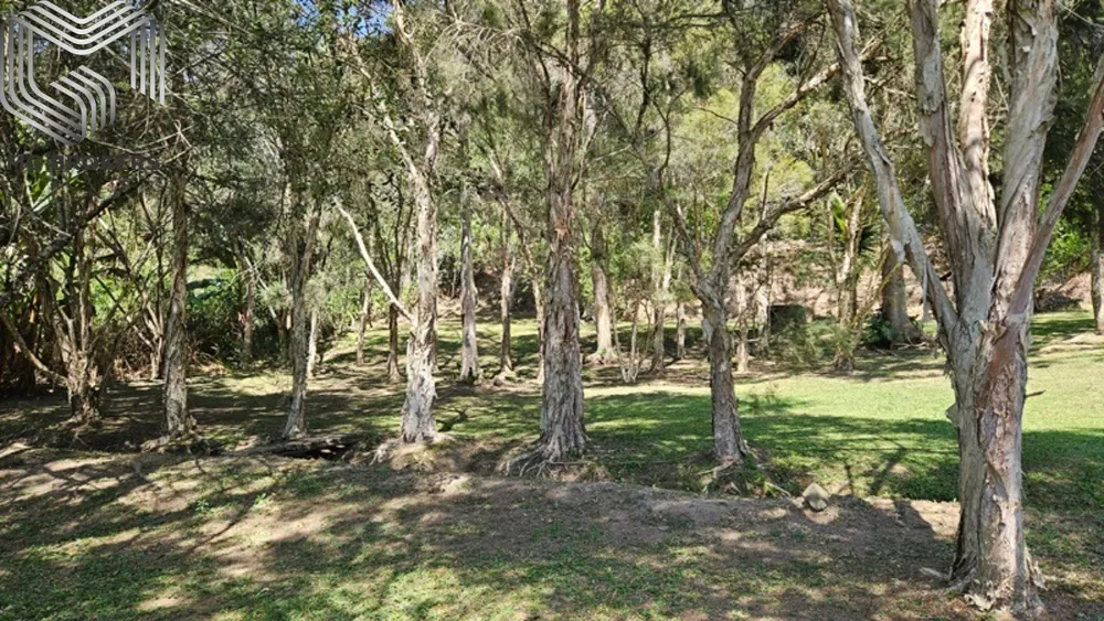 Fazenda, 8 quartos - Foto 92