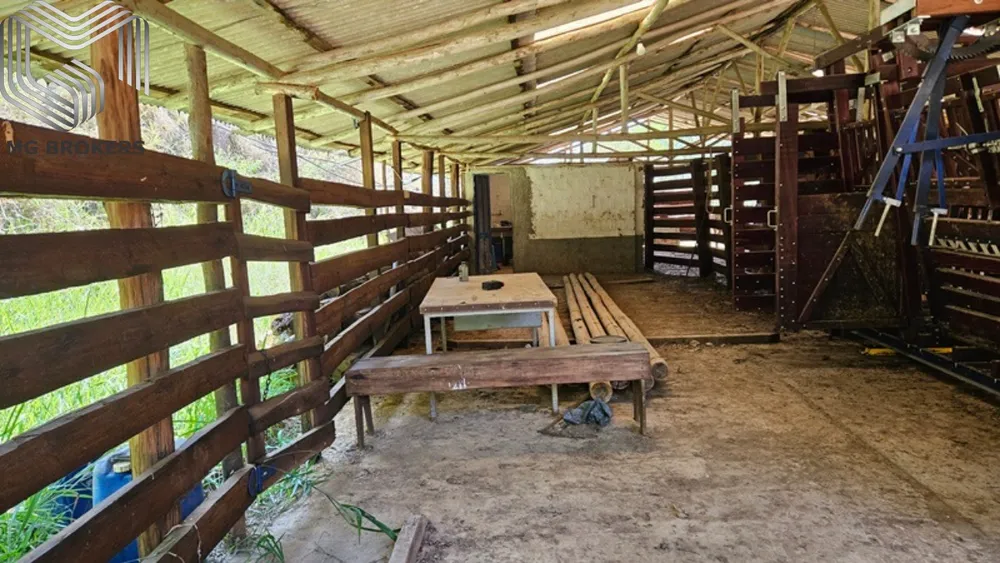 Fazenda, 8 quartos - Foto 82