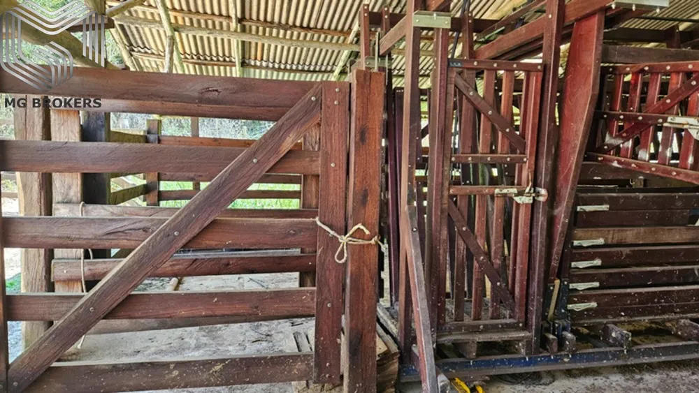 Sítio, 8 quartos, 2500 m² - Foto 27
