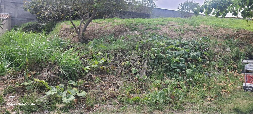 Terreno, 362 m² - Foto 7