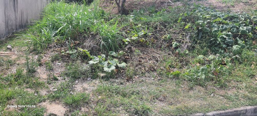 Terreno, 362 m² - Foto 6