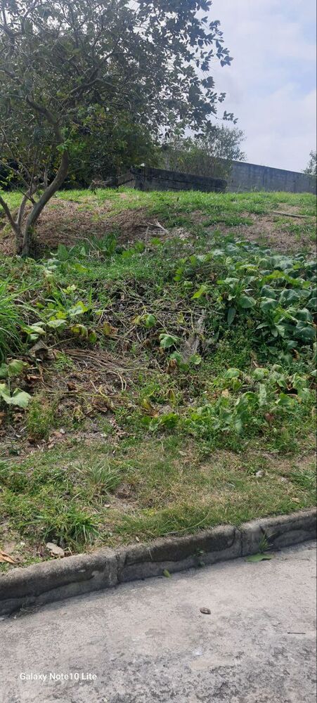 Terreno, 362 m² - Foto 4