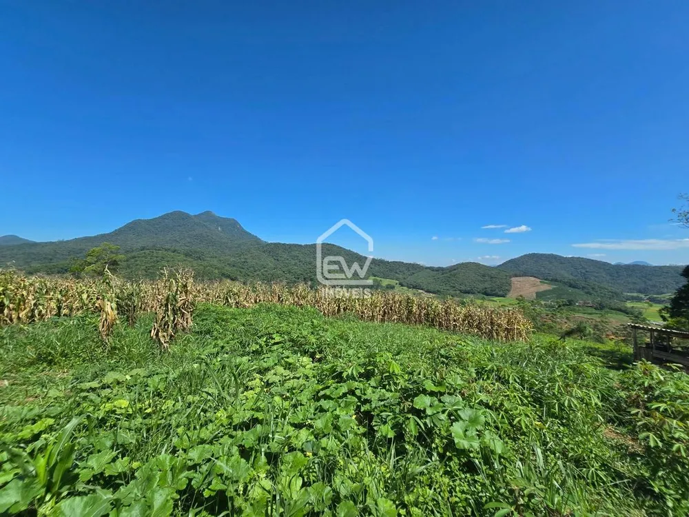 Sítio, 3 quartos, 3 hectares - Foto 7