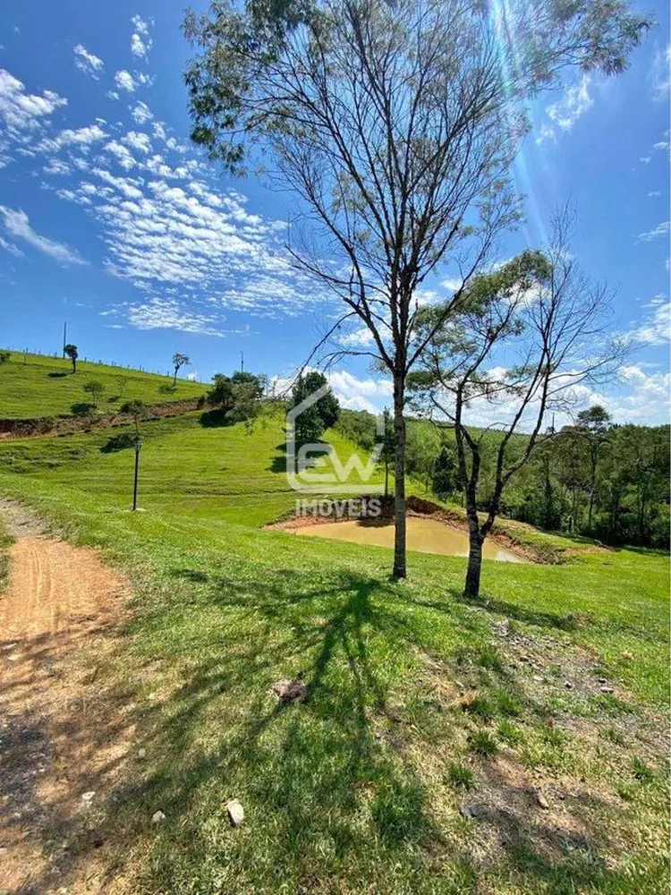 Chácara, 2 quartos, 2 hectares - Foto 10