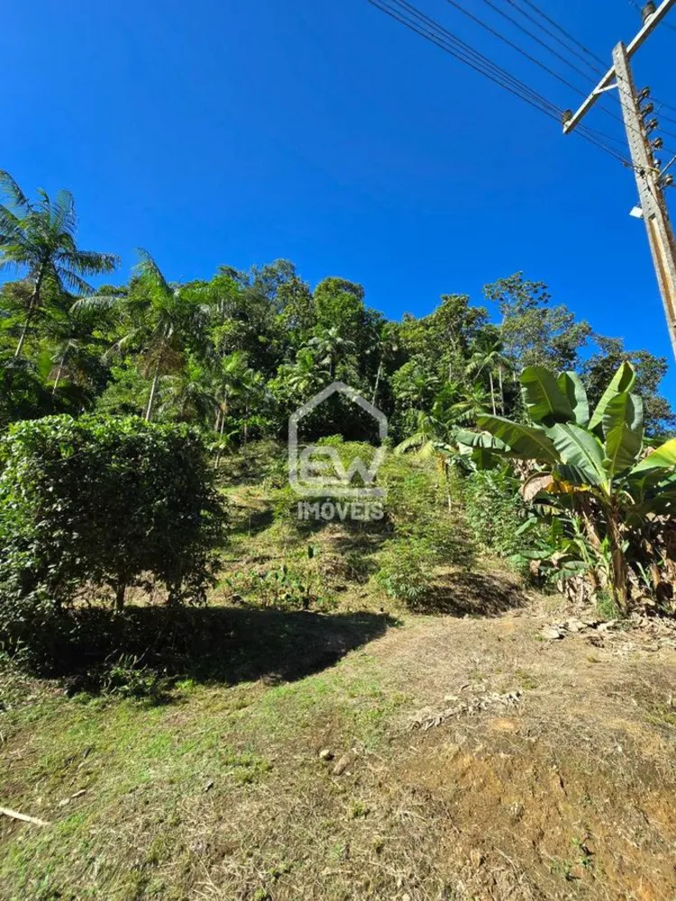 Chácara, 2 quartos, 3 hectares - Foto 9