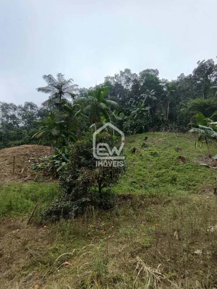 Chácara, 2 quartos, 3 hectares - Foto 3