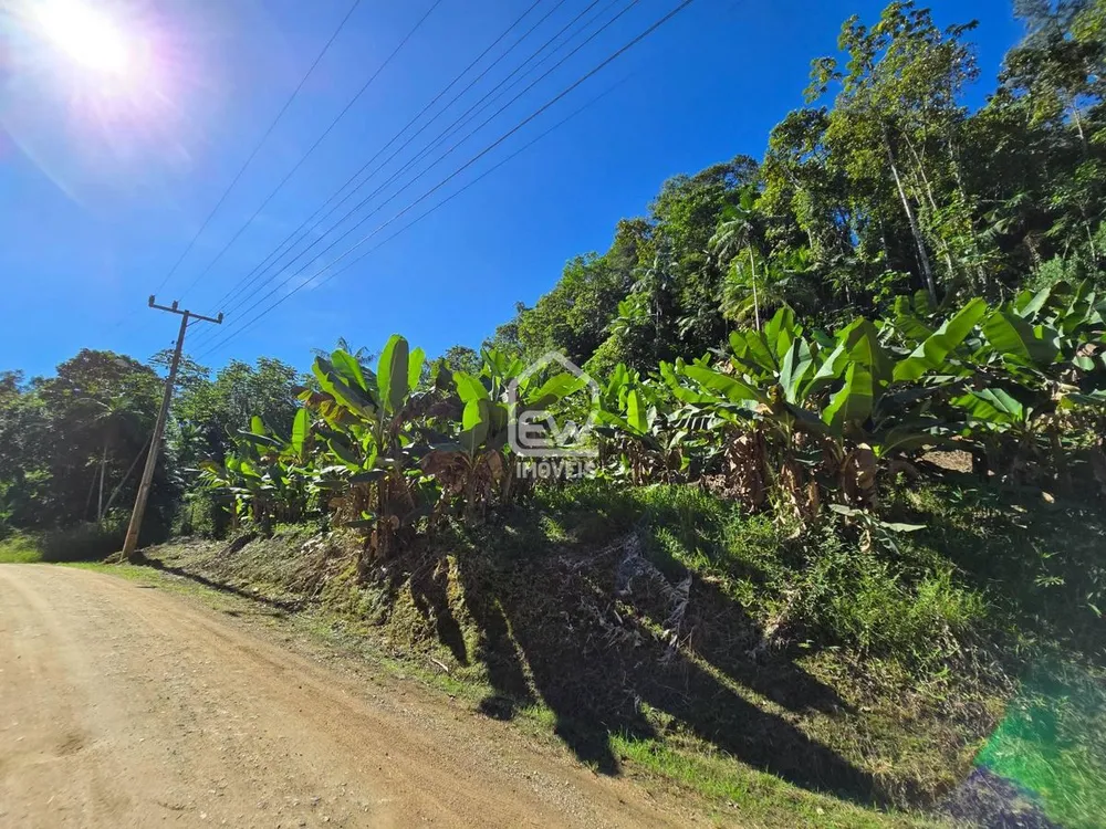 Chácara, 2 quartos, 3 hectares - Foto 12