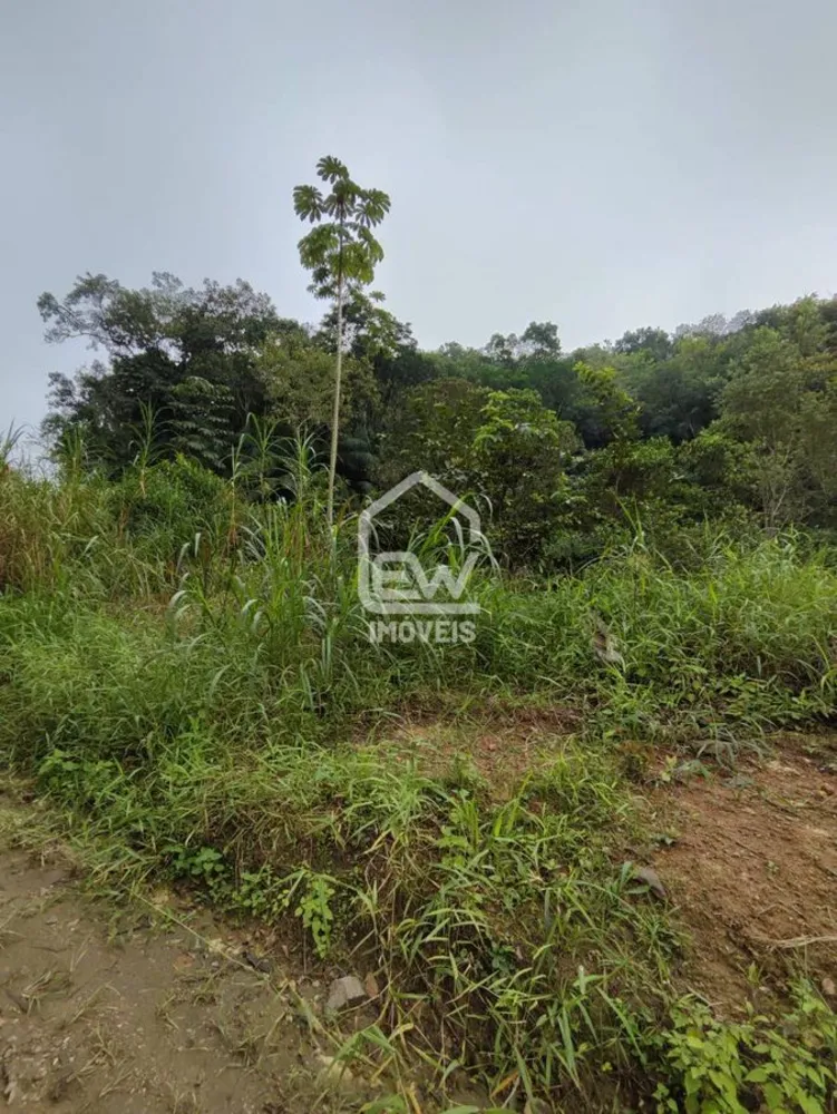 Chácara, 2 quartos, 3 hectares - Foto 7