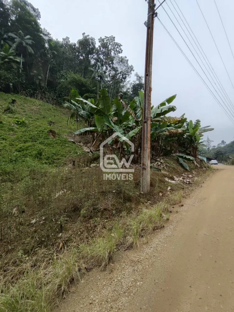 Chácara, 2 quartos, 3 hectares - Foto 4