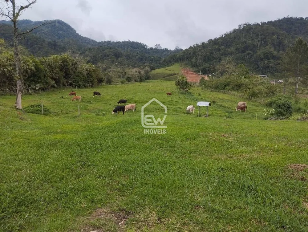 Sítio, 3 quartos, 6 hectares - Foto 4