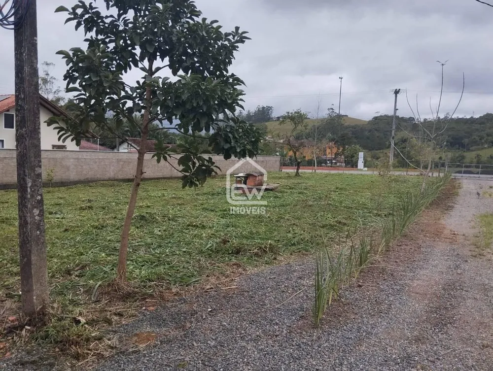 Sítio, 3 quartos, 6 hectares - Foto 9