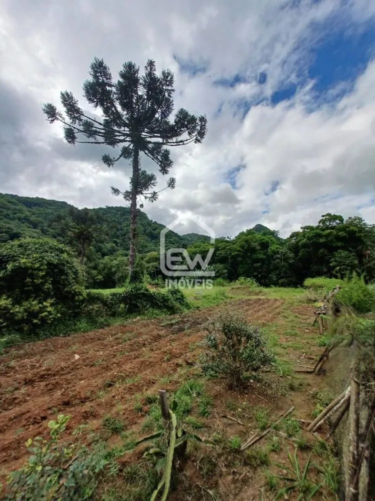 Chácara, 3 quartos, 3 hectares - Foto 15