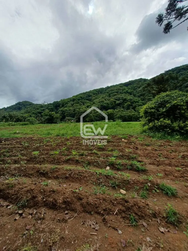 Chácara, 3 quartos, 3 hectares - Foto 13