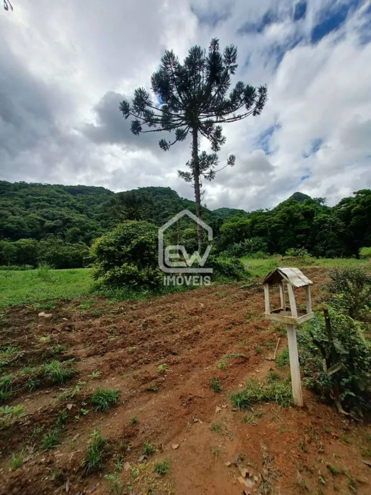 Chácara, 3 quartos, 3 hectares - Foto 14