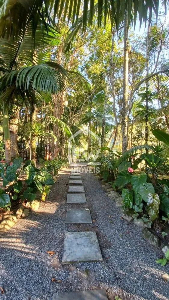 Sítio, 2 quartos, 25 hectares - Foto 6