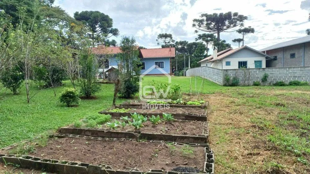Casa, 3 quartos, 2306 m² - Foto 6