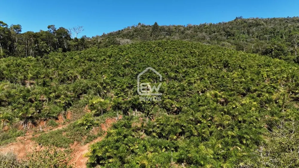 Terreno, 8 hectares - Foto 9