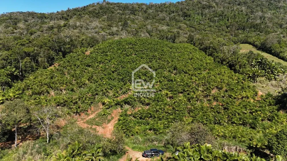 Terreno, 8 hectares - Foto 3