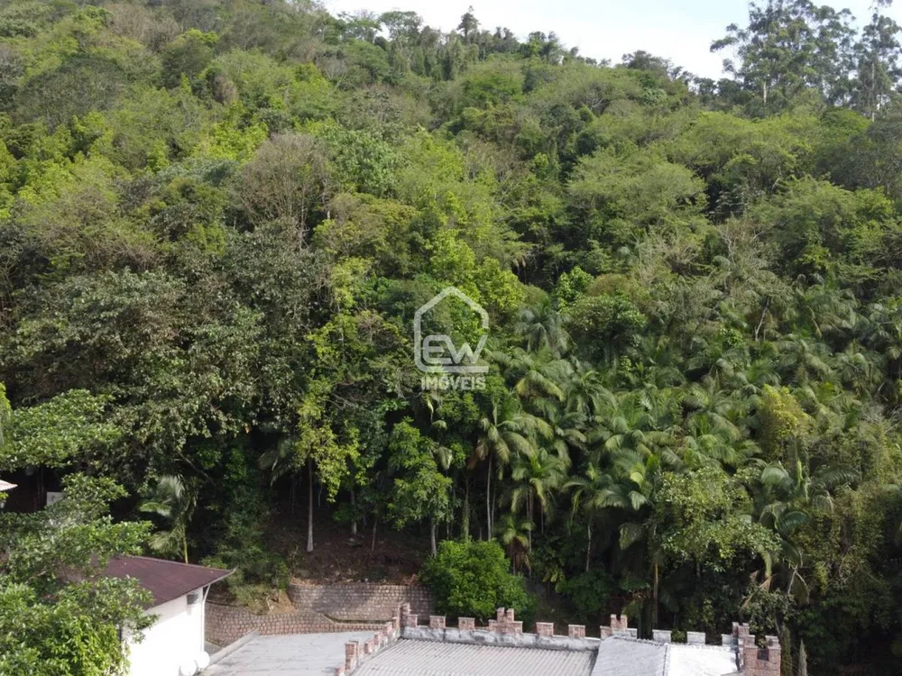 Terreno, 4 hectares - Foto 13