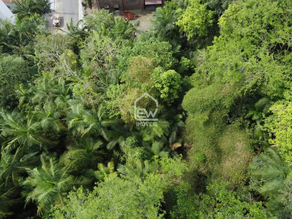 Terreno, 4 hectares - Foto 11