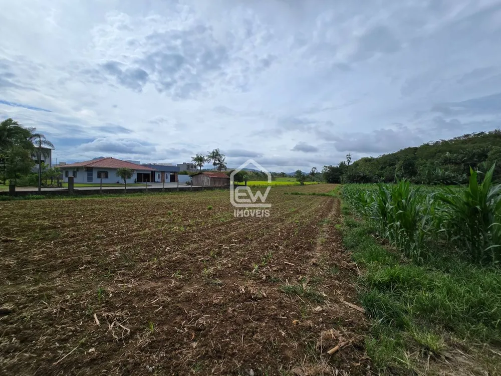 Terreno, 2 hectares - Foto 2