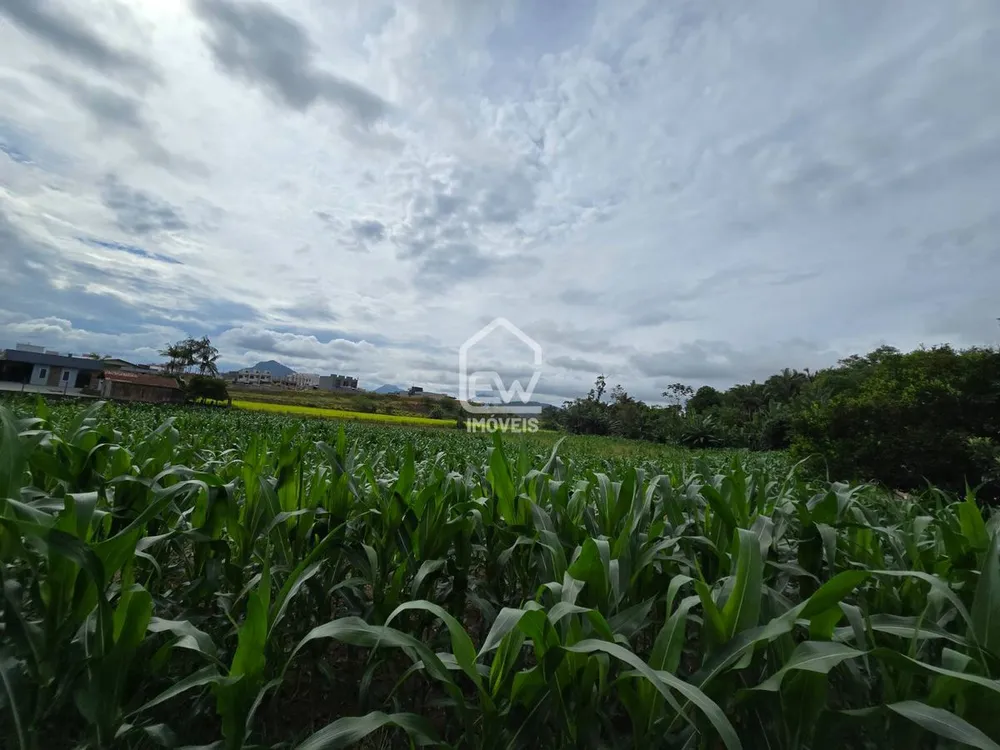 Terreno, 2 hectares - Foto 4