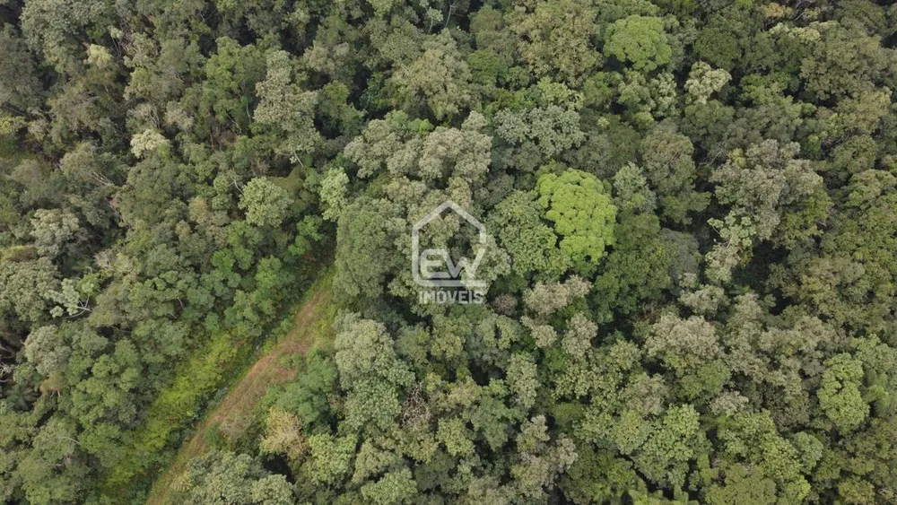 Depósito-Galpão, 15730 m² - Foto 3